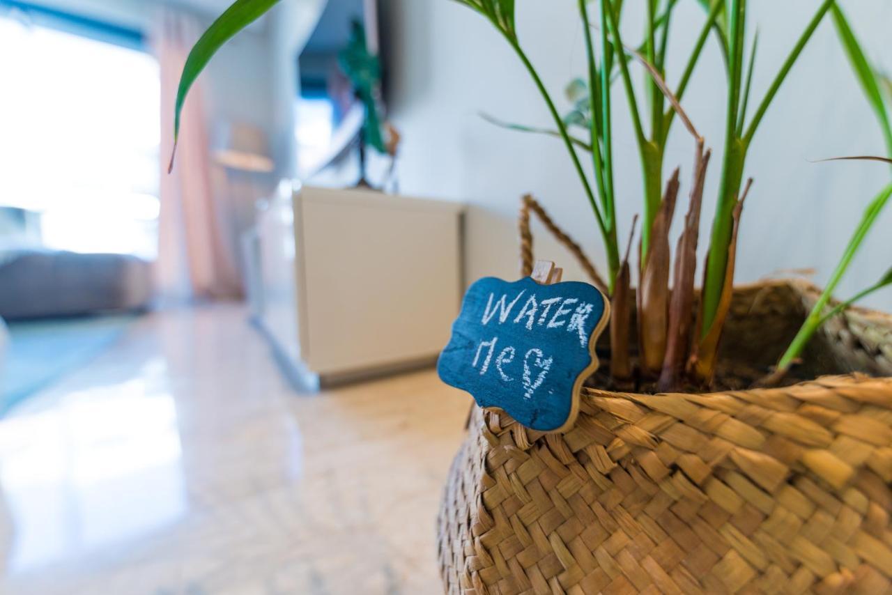 Apartment Comfortable & Elegant Flat In A Lively Place Casablanca